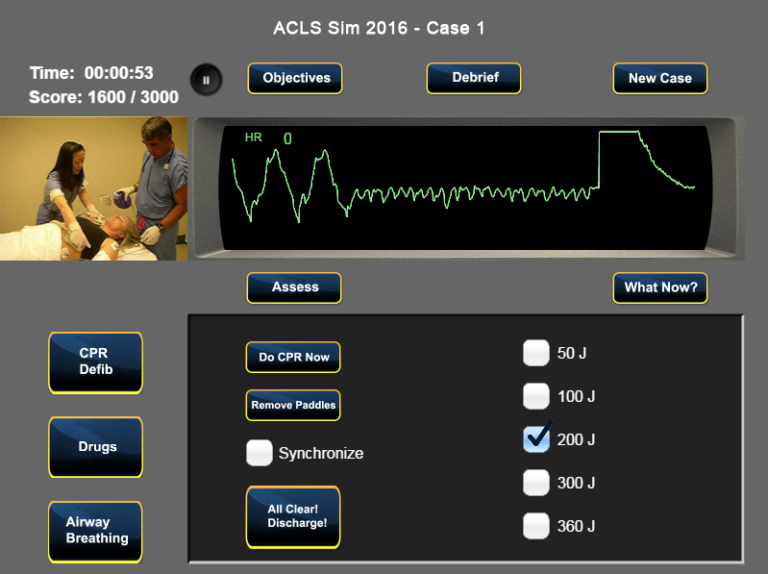 acls-simulator-2016-single-license-anesoft-corporation